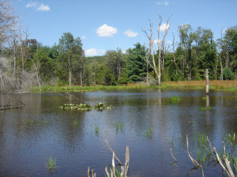 community photo